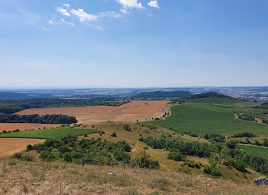 czechia/south-moravia/landmark/rose-hill-and-stone-cat