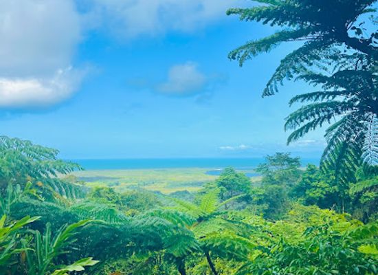 australia/cairns/landmark/uncle-brian-s-tours
