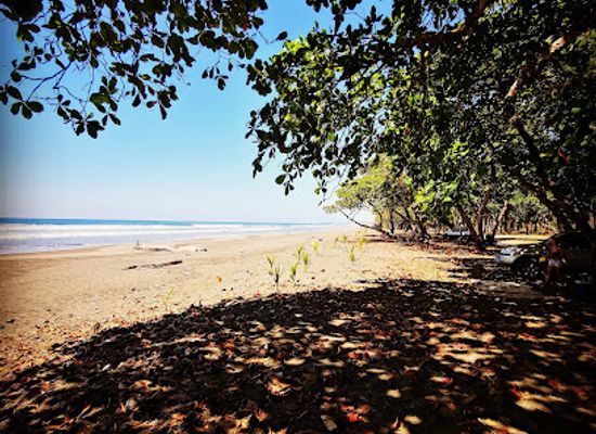 costa-rica/caribbean-coast/landmark/bread-chocolate