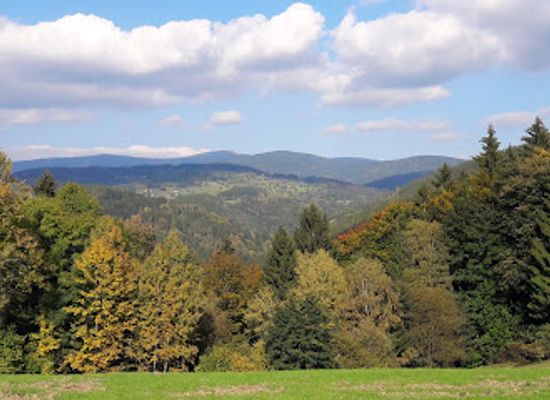 czechia/krkonose/landmark/zricenina-hradu-nistejka