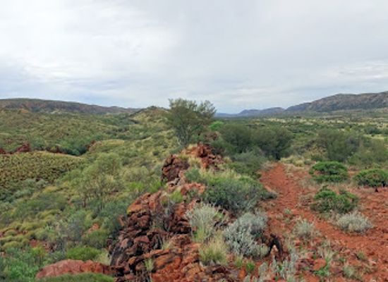 australia/macdonnell-ranges/landmark/point-howard-lookout