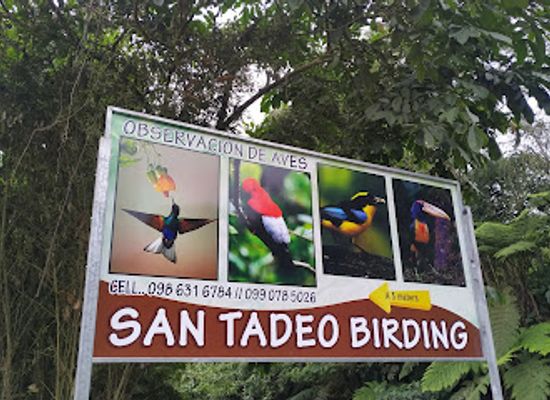 ecuador/central-sierra/landmark/san-tadeo-birding