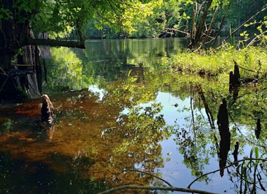 florida/first-coast/landmark/kent-springs