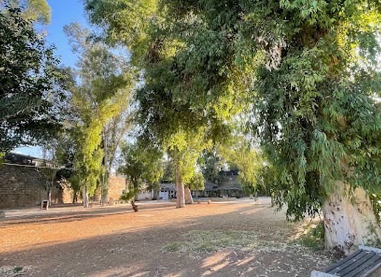 cyprus/nicosia-district/landmark/lefkosa-park-city-center