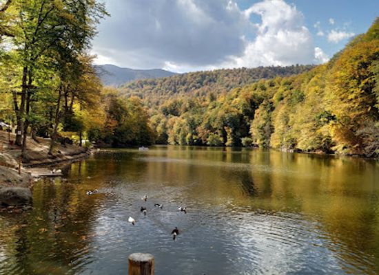 armenia/dilijan/landmark/dilijan-national-park
