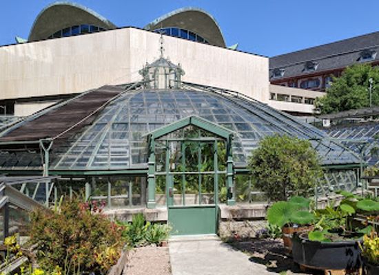 switzerland/basel/landmark/university-of-basel-botanical-garden