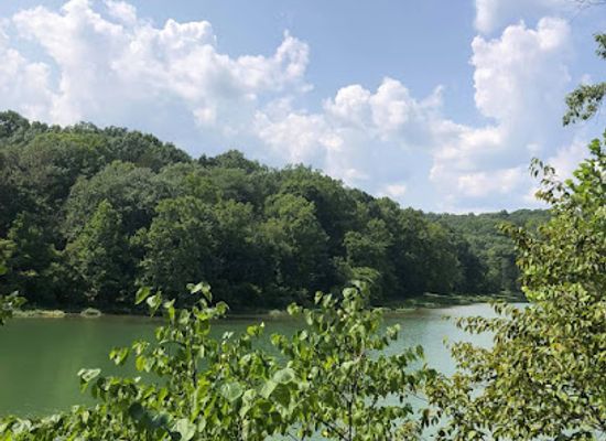 indiana/the-southern-hills-and-lowlands/landmark/donaldson-cave