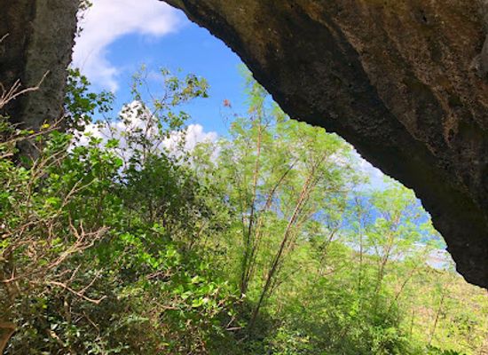 guam/mount-jumullong-manglo/landmark/talofofo-caves