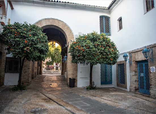 spain/cordoba/la-juderia/landmark/puerta-de-la-luna