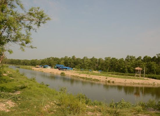 nepal/chitwan/landmark/chitwan-jungle-safari
