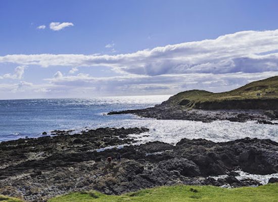 united-kingdom/west-glamorgan/attraction/burry-holms-2