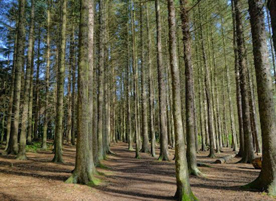 united-kingdom/west-lothian/attraction/beecraigs-country-park-2