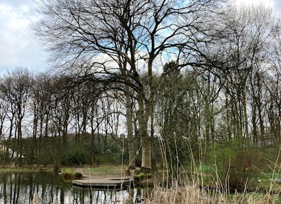 netherlands/nijmegen/landmark/foundation-hortus-nijmegen
