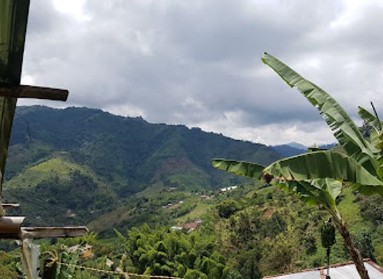 colombia/manizales/landmark/cafe-tio-conejo-finca
