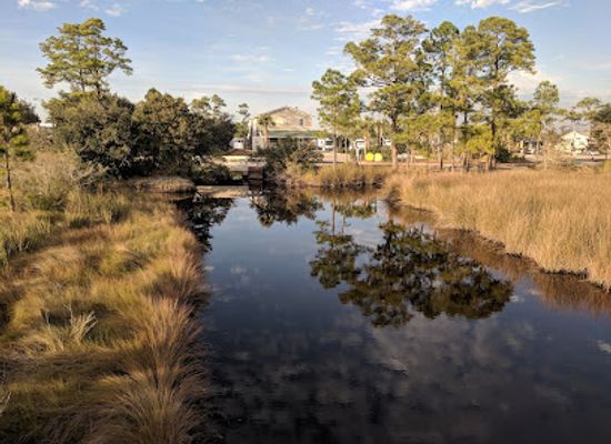 alabama/alabama-coastal-birding-trail/landmark/wade-ward-nature-park