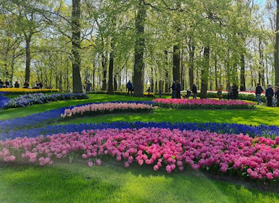 netherlands/kennemerland/landmark/keukenhof-express