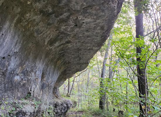 ohio/appalachian-ohio/landmark/chalet-nivale-nature-preserve