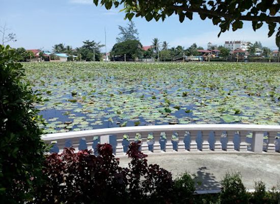 cambodia/kampot/landmark/lotus-pond
