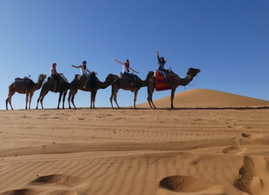 morocco/sahara-desert/landmark/sahara-marrakech