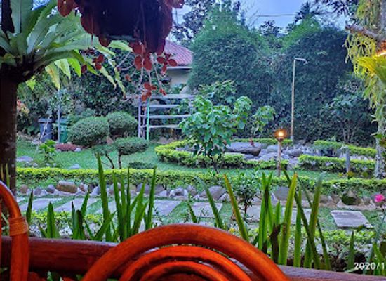 indonesia/bukit-lawang/landmark/junia-guesthouse