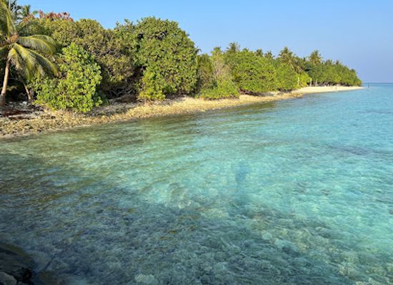 maldives/thoddoo-island/landmark/i-love-thoddoo-darkgreen-adventures