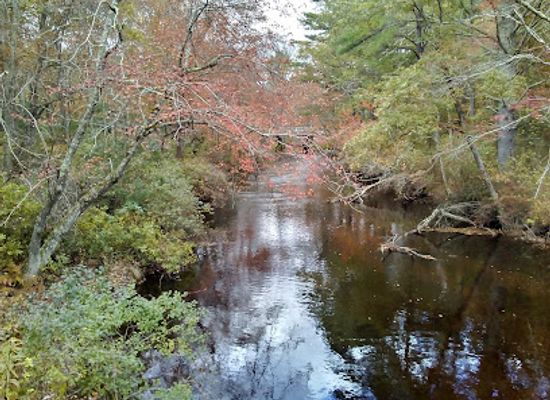 rhode-island/arcadia-management-area/landmark/wood-river-arcadia-management-area