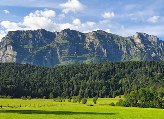 austria/bregenzerwald/landmark/barfussweg-bizauer-moos