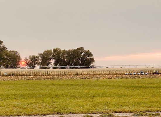 idaho/idaho-falls/landmark/new-sweden-farms-idaho-falls-corn-maze-and-pumpkin-patch