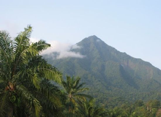 cameroon/north-region/landmark/mt-cameroon