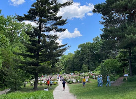 michigan/ann-arbor/landmark/arboretum-nature-area