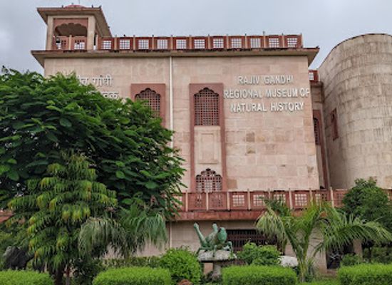 india/ranthambore/landmark/rajiv-gandhi-regional-museum-of-natural-history-sawai-madhopur