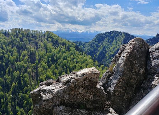 poland/pieniny-mountains/landmark/zamek-pieninski