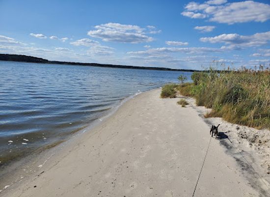 delaware/delaware-seashore-state-park/landmark/fenwick-island-state-park