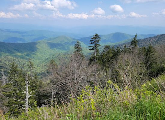 tennessee/great-smoky-mountains-national-park/landmark/clingmans-dome-trailhead