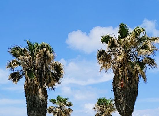 israel/tel-aviv/jaffa/landmark/yaffa