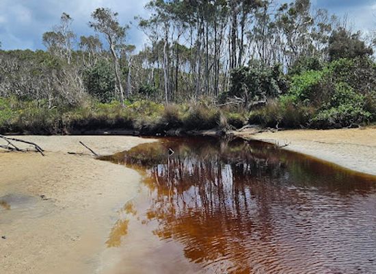 australia/northern-rivers/landmark/tea-tree-lake