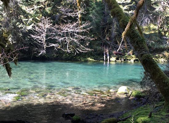 oregon/lake-county/landmark/mckenzie-river-trail