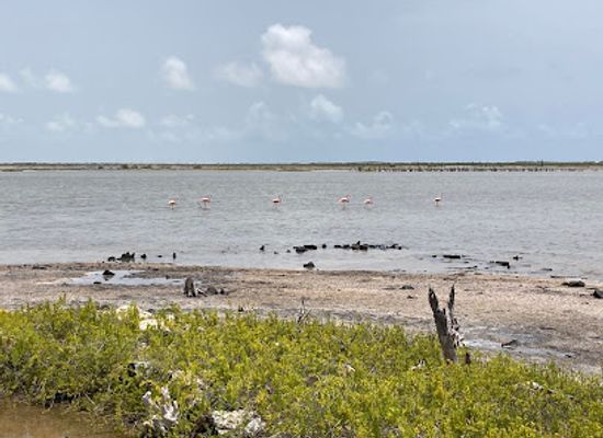 turks-and-caicos-islands/south-caicos/landmark/boiling-hole