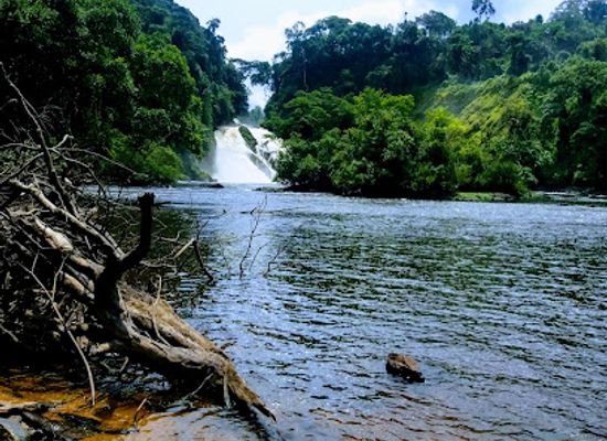 equatorial-guinea/rio-muni/landmark/parque-nacional-del-monte-alen