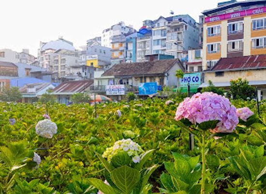 vietnam/da-lat/landmark/flower-park