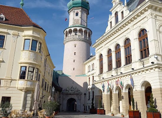 hungary/sopron/landmark/fire-tower