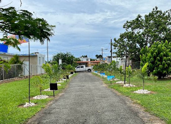 puerto-rico/isabela/landmark/campo-del-mar