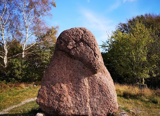 denmark/limfjord/attraction/rebild-national-park