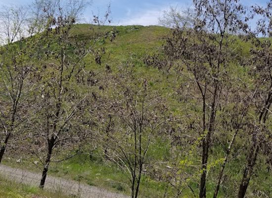 idaho/coeur-d-alene/landmark/coeur-d-alene-centennial-trail