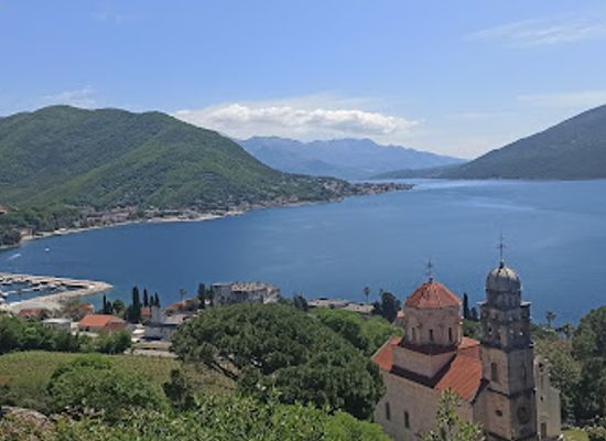 montenegro/herceg-novi/landmark/savina-forest