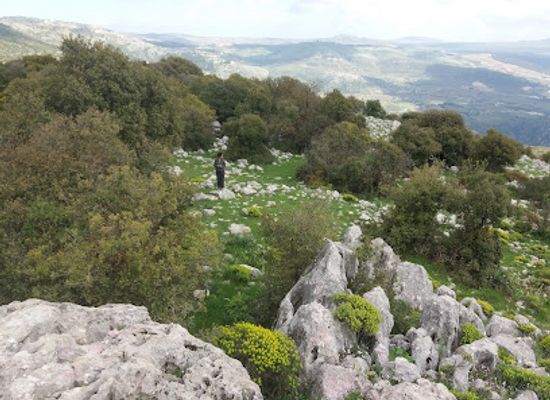 israel/golan-heights/landmark/har-senaim