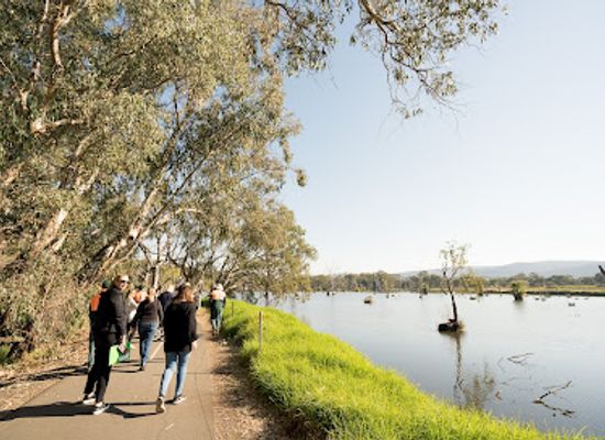 australia/murray-region/landmark/albury-murray-river-precinct