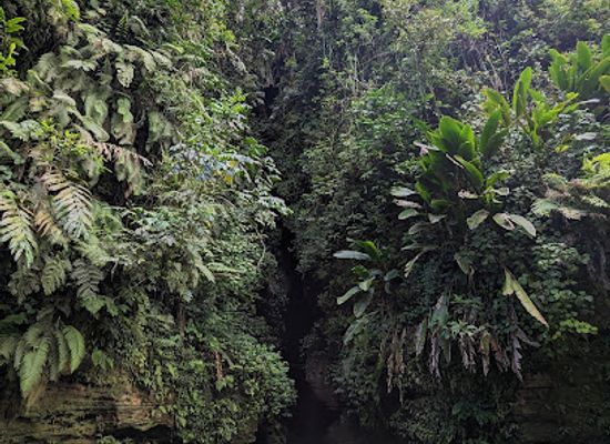 vanuatu/lenakel/landmark/millennium-cave