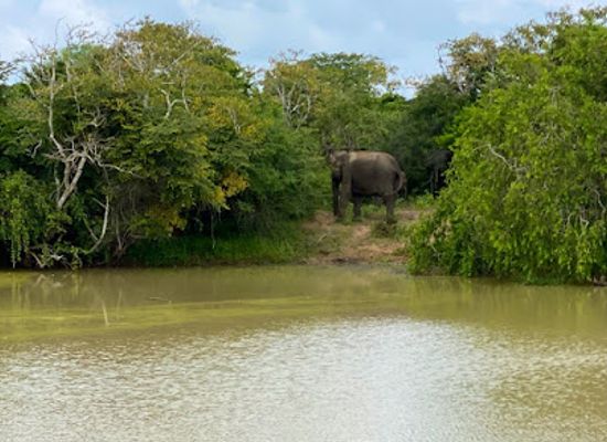 sri-lanka/yala-national-park/landmark/yala-national-park-katagamuwa-entrance