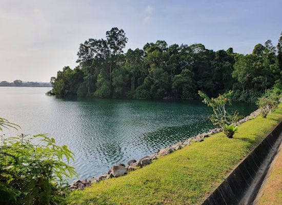 singapore/ang-mo-kio/landmark/upper-peirce-reservoir-viewpoint